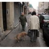 La photo du 12 janvier 2007