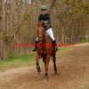 CCE de Meaux