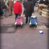 Course de traineaux