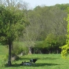 la chaleur, ombre