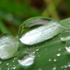 Goutte de pluie