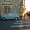 Coccinelle