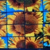 ”Tournesols”, photo-montage