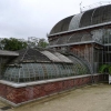 Serre tropicale