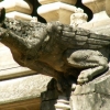 Les gargouilles de la Psalette (2)