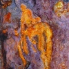 Peinture sur photo