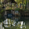 Sur les bords de l'Indre