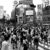 CROISEMENTS SINGULIERS - Tokyo 2013