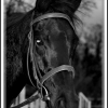 portrait de KIKI
