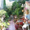 Un jardin