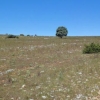 larzac