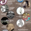 Exposition Collective