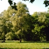 Fin de l'été