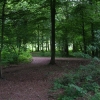 LA NATURE RESPIRE DIEU.
