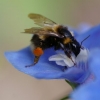 Ce matin au jardin