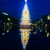 Sur le miroir d'eau