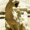 Les gargouilles de La Psalette (10)