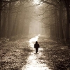 Alone