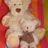 nouveaux nounours dans la famille