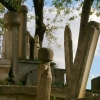 Stèles dans le cimetière d'Eyüp (2)