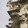 Les gargouilles de Notre-Dame (1)