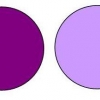 Des couleurs qui permettent à certains êtres...
