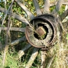 Le devenir herbe de la roue