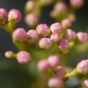 Un petit air de printemps