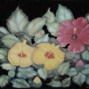 Les hibiscus