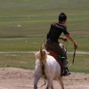 Cavalier mongol