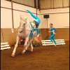 concours de voltige