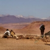 Dromadaires dans le Moyen Atlas