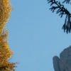 Paysage d'automne