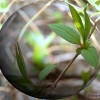 Dans la bulle