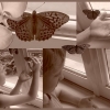 Papillon de lumière