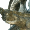 Les gargouilles de La Psalette (14)