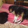 Zzzzzzz