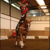 concours de voltige