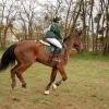 CCE de Meaux