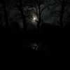 Reflet nocturne