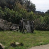 Vieille charette