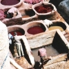 Le souk des teinturiers et des tanneurs (5/5)