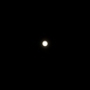 Bouton blanc, blanc bouton