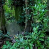 Cimetière de Dieweg