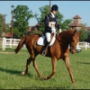 severine et Genet (dressage)