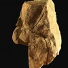 Humain de Neandertal et Femme Homo-Sapiens côte...