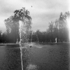 le bassin