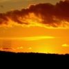 Paysage
