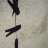 DANCE AU SOLEIL ...