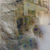 reflet